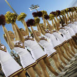 NHS Band, Cheerleaders, NJROTC