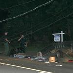 Sheriff's Department dog arrives to begin search