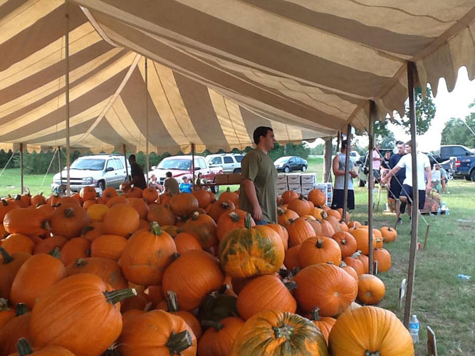 Cantonment-Pumpkins-013.jpg