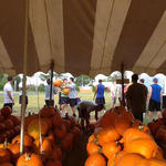 Cantonment-Pumpkins-019.jpg