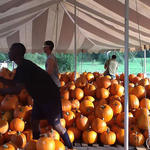 Cantonment-Pumpkins-022.jpg