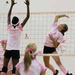 Dig-Pink-022.jpg