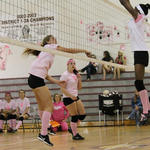 Dig-Pink-028.jpg