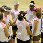 Dig-Pink-031.jpg