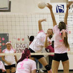 Dig-Pink-033.jpg