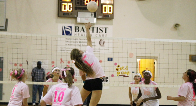 Dig-Pink-034.jpg