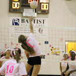 Dig-Pink-034.jpg