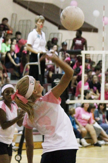 Dig-Pink-037.jpg