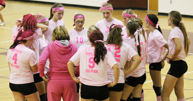 Dig-Pink-038.jpg