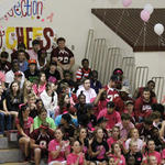 Dig-Pink-041.jpg