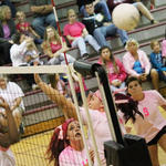 Dig-Pink-044.jpg