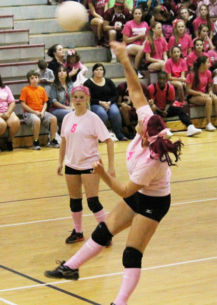 Dig-Pink-047.jpg