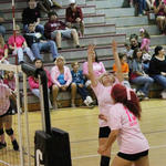 Dig-Pink-051.jpg