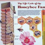 Doug Corbin Farm_Beekeeping_2012 Farm Tour 013.jpg