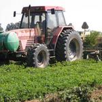 Sigafoose Farms_Peanuts_2012 Farm Tour 004.jpg