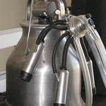 Yoder Family Dairy_2012 Farm Tour 022.jpg