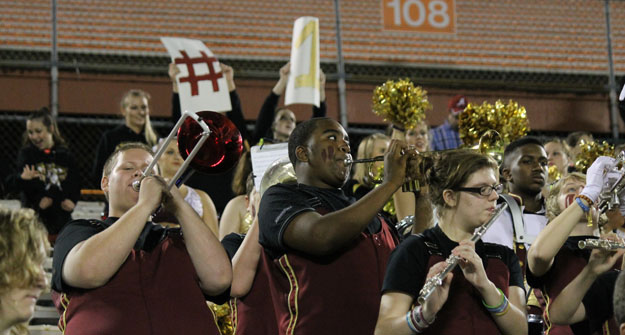 NHS-State-Band-250.jpg