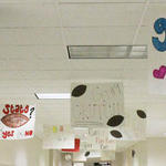 NHS-Celebration-136.jpg