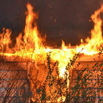 Barrineau-Park-Fire-021.jpg