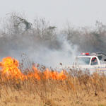 Bratt-Brush-Fire-025.jpg