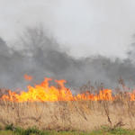 Bratt-Brush-Fire-026.jpg