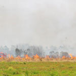 Bratt-Brush-Fire-031.jpg