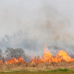 Bratt-Brush-Fire-032.jpg