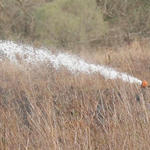 Bratt-Brush-Fire-037.jpg
