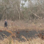 Bratt-Brush-Fire-038.jpg