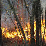 Nokomis-Jakes-Fire-207.jpg