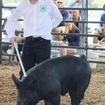 Livestock-Show-105.jpg