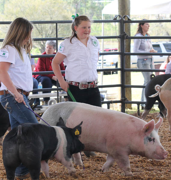 Livestock-Show-114.jpg