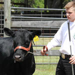 Livestock-Show-124.jpg