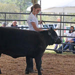 Livestock-Show-125.jpg