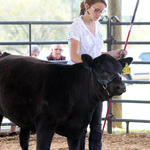 Livestock-Show-126.jpg