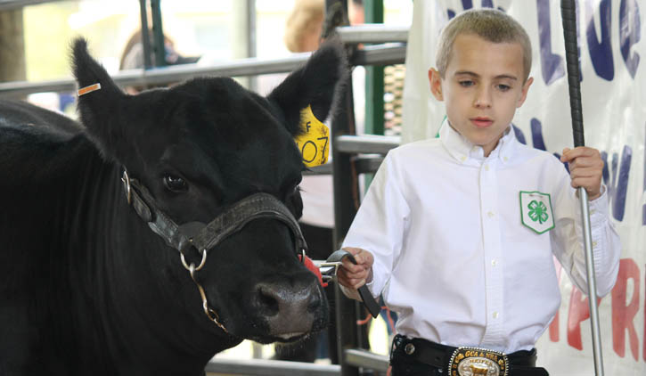 Livestock-Show-131.jpg
