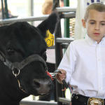 Livestock-Show-131.jpg