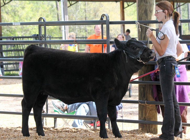 Livestock-Show-133.jpg