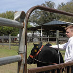 Livestock-Show-213.jpg