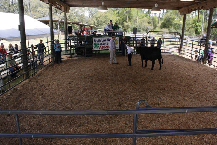 Livestock-Show-216.jpg