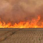 Hwy 164 Accidental Wheat Field Fire