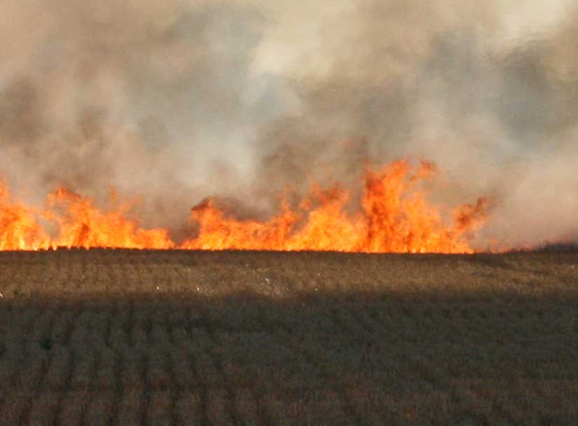 wheatfieldfire18