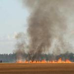 wheatfieldfire31