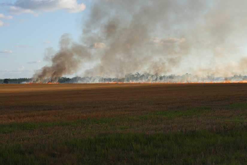 wheatfieldfire37