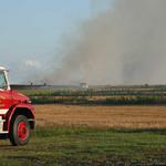 wheatfieldfire50