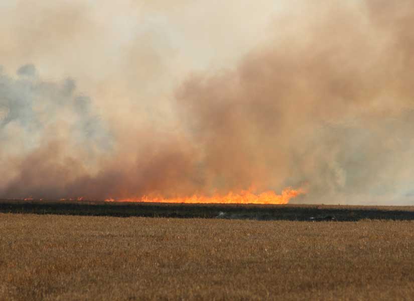 wheatfieldfire54