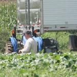 Getting Ready For Explosion