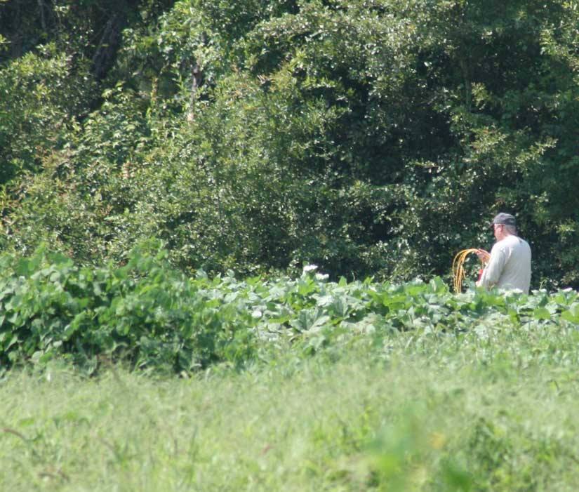 Getting Ready For Explosion