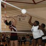 vollball07