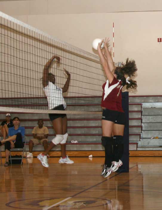 vollball09